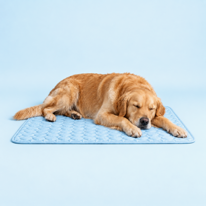 Icynap Continuous Cooling Dog Mat
