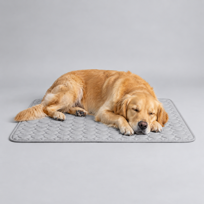 Icynap Continuous Cooling Dog Mat