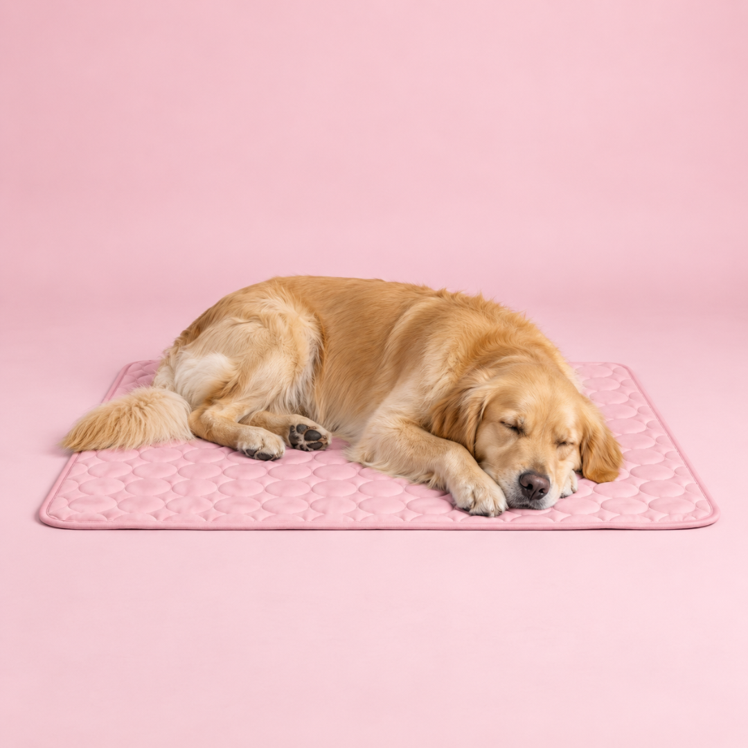 Icynap Continuous Cooling Dog Mat