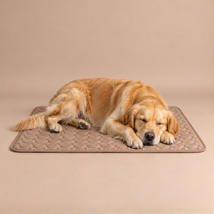 Icynap Continuous Cooling Dog Mat