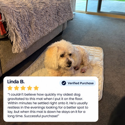 Icynap Continuous Cooling Dog Mat