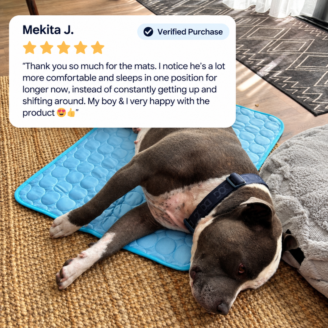 Icynap Continuous Cooling Dog Mat