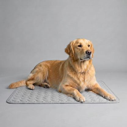 Icynap Continuous Cooling Dog Mat