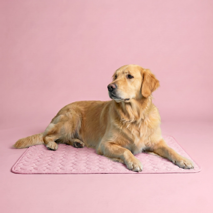 Icynap Continuous Cooling Dog Mat