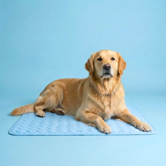 Icynap Continuous Cooling Dog Mat